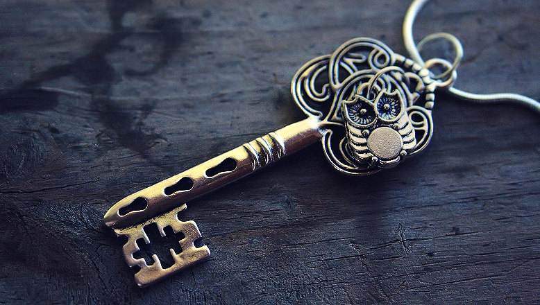 tiny_silver_owl_and_key_charm_necklace_by_acciolucius-d5fw1ic