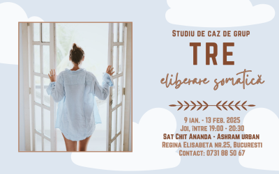 TREmur – Studiu de caz, București