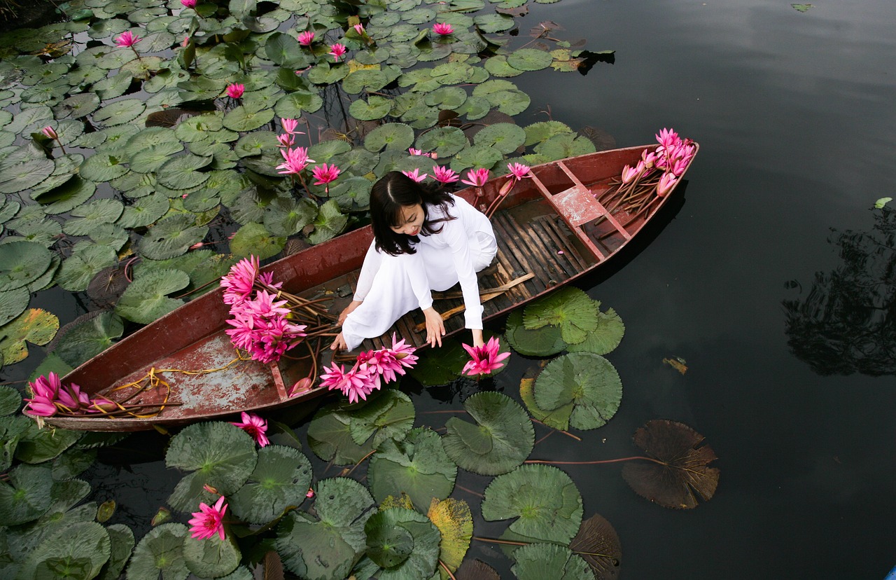 Stillness hipnoza regresiva pareri