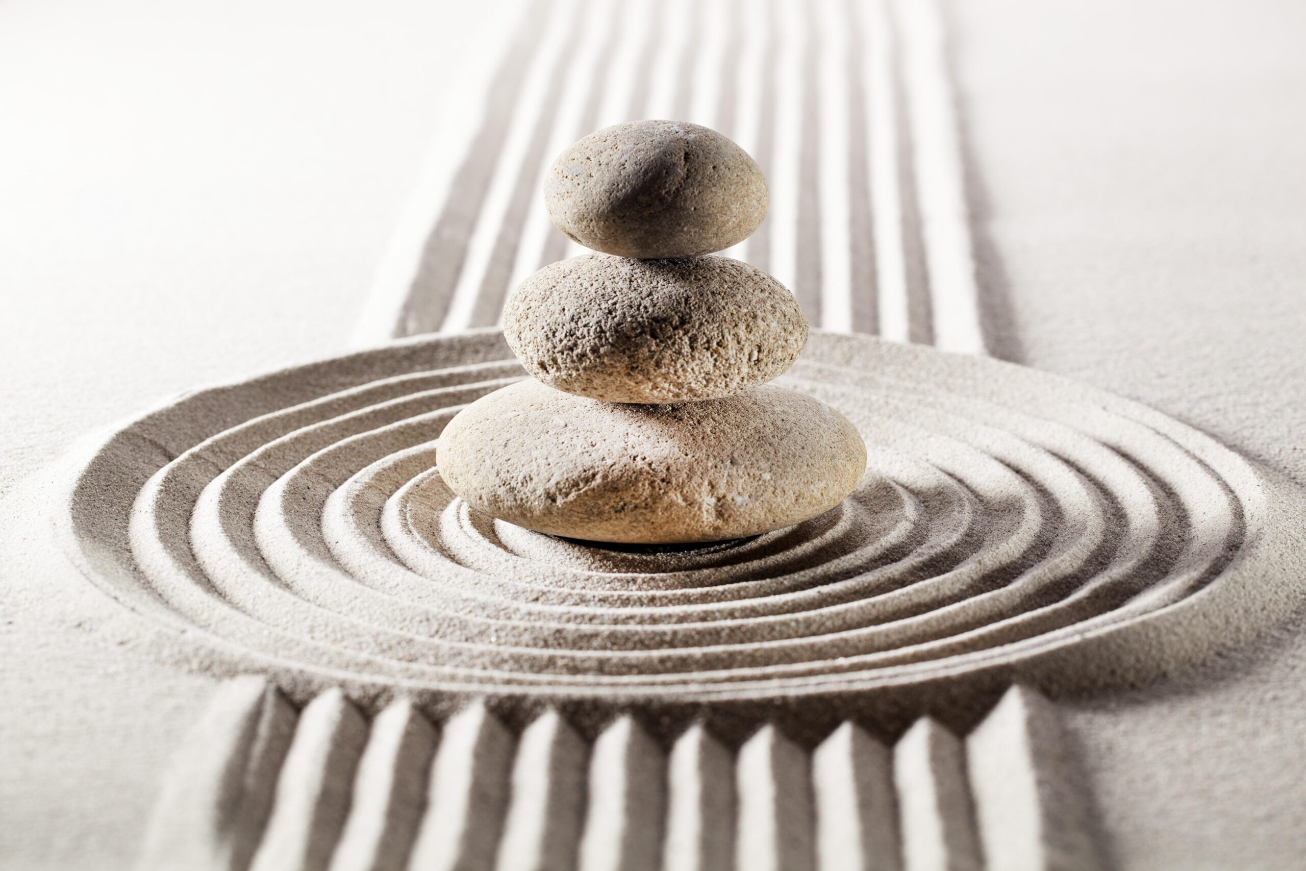 18121281-zen-5533494